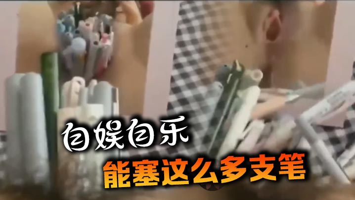 自娱自乐，能塞这么多支笔